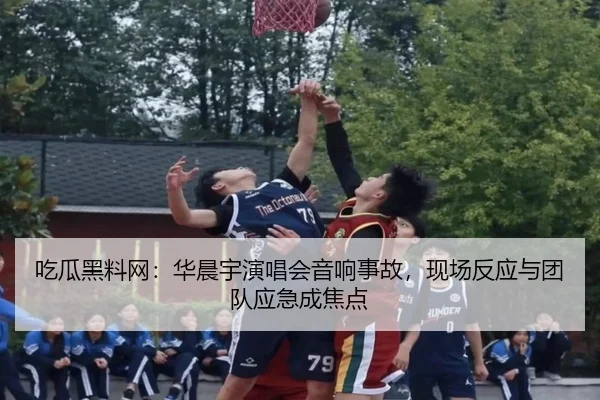 吃瓜黑料网：华晨宇演唱会音响事故，现场反应与团队应急成焦点